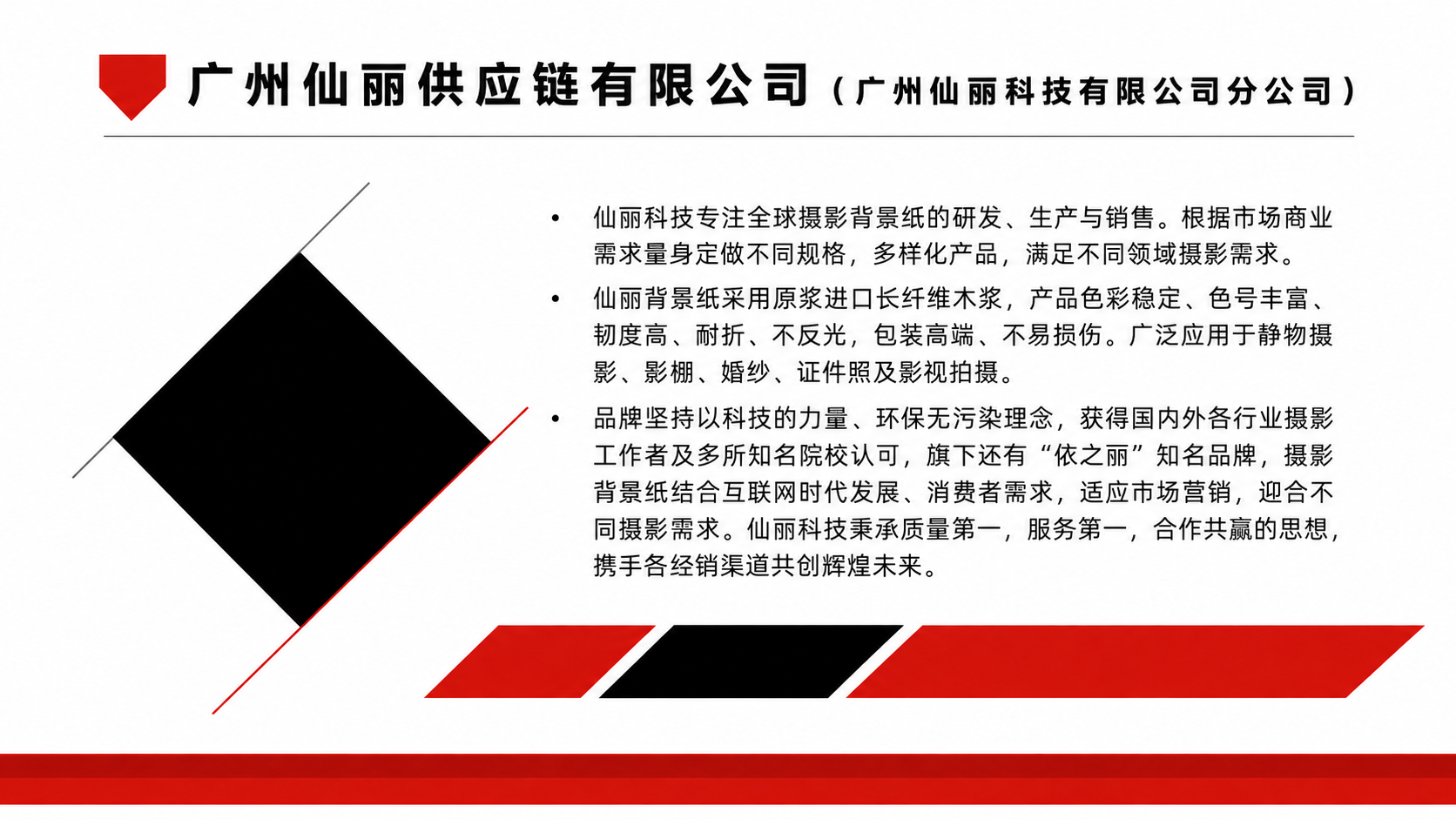 公司介绍资料预览