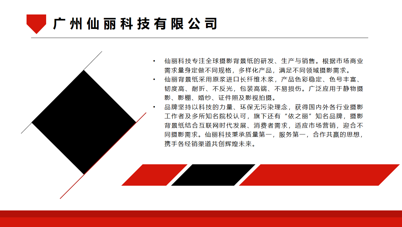 Company profile document preview